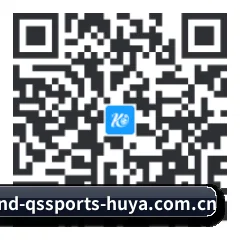 系统版 iOS 二维码